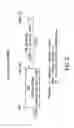 Fig. 04 - METHODS FOR THE PRODUCTION OF FUNCTIONAL PROTEIN FROM DNA HAVING A NONSENSE MUTATION AND THE TREATMENT OF DISORDERS ASSOCIATED THEREWITH