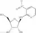 Fig. 06 - METHODS FOR THE PRODUCTION OF FUNCTIONAL PROTEIN FROM DNA HAVING A NONSENSE MUTATION AND THE TREATMENT OF DISORDERS ASSOCIATED THEREWITH