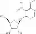 Fig. 12 - METHODS FOR THE PRODUCTION OF FUNCTIONAL PROTEIN FROM DNA HAVING A NONSENSE MUTATION AND THE TREATMENT OF DISORDERS ASSOCIATED THEREWITH