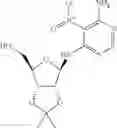 Fig. 14 - METHODS FOR THE PRODUCTION OF FUNCTIONAL PROTEIN FROM DNA HAVING A NONSENSE MUTATION AND THE TREATMENT OF DISORDERS ASSOCIATED THEREWITH