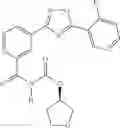 Fig. 1703 - METHODS FOR THE PRODUCTION OF FUNCTIONAL PROTEIN FROM DNA HAVING A NONSENSE MUTATION AND THE TREATMENT OF DISORDERS ASSOCIATED THEREWITH