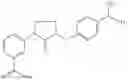 Fig. 180 - METHODS FOR THE PRODUCTION OF FUNCTIONAL PROTEIN FROM DNA HAVING A NONSENSE MUTATION AND THE TREATMENT OF DISORDERS ASSOCIATED THEREWITH
