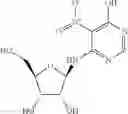 Fig. 19 - METHODS FOR THE PRODUCTION OF FUNCTIONAL PROTEIN FROM DNA HAVING A NONSENSE MUTATION AND THE TREATMENT OF DISORDERS ASSOCIATED THEREWITH