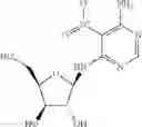 Fig. 20 - METHODS FOR THE PRODUCTION OF FUNCTIONAL PROTEIN FROM DNA HAVING A NONSENSE MUTATION AND THE TREATMENT OF DISORDERS ASSOCIATED THEREWITH