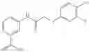 Fig. 200 - METHODS FOR THE PRODUCTION OF FUNCTIONAL PROTEIN FROM DNA HAVING A NONSENSE MUTATION AND THE TREATMENT OF DISORDERS ASSOCIATED THEREWITH