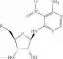Fig. 22 - METHODS FOR THE PRODUCTION OF FUNCTIONAL PROTEIN FROM DNA HAVING A NONSENSE MUTATION AND THE TREATMENT OF DISORDERS ASSOCIATED THEREWITH