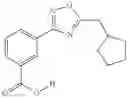 Fig. 291 - METHODS FOR THE PRODUCTION OF FUNCTIONAL PROTEIN FROM DNA HAVING A NONSENSE MUTATION AND THE TREATMENT OF DISORDERS ASSOCIATED THEREWITH