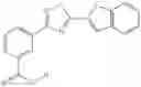 Fig. 300 - METHODS FOR THE PRODUCTION OF FUNCTIONAL PROTEIN FROM DNA HAVING A NONSENSE MUTATION AND THE TREATMENT OF DISORDERS ASSOCIATED THEREWITH