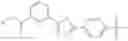 Fig. 438 - METHODS FOR THE PRODUCTION OF FUNCTIONAL PROTEIN FROM DNA HAVING A NONSENSE MUTATION AND THE TREATMENT OF DISORDERS ASSOCIATED THEREWITH