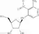 Fig. 56 - METHODS FOR THE PRODUCTION OF FUNCTIONAL PROTEIN FROM DNA HAVING A NONSENSE MUTATION AND THE TREATMENT OF DISORDERS ASSOCIATED THEREWITH