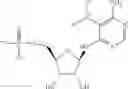 Fig. 58 - METHODS FOR THE PRODUCTION OF FUNCTIONAL PROTEIN FROM DNA HAVING A NONSENSE MUTATION AND THE TREATMENT OF DISORDERS ASSOCIATED THEREWITH
