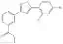 Fig. 844 - METHODS FOR THE PRODUCTION OF FUNCTIONAL PROTEIN FROM DNA HAVING A NONSENSE MUTATION AND THE TREATMENT OF DISORDERS ASSOCIATED THEREWITH