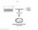 Fig. 03 - Mineral amino-acid complexes of active agents