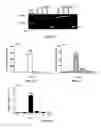 Fig. 04 - Methods of treating thyroid eye disease