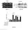 Fig. 06 - Methods of treating thyroid eye disease