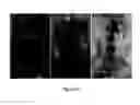 Fig. 28 - Compositions comprising acidic extracts of mastic gum