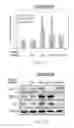 Fig. 11 - METHODS OF TREATING BRAIN ISCHEMIA OR HYPOXIA