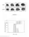 Fig. 24 - METHODS OF TREATING BRAIN ISCHEMIA OR HYPOXIA