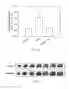 Fig. 31 - METHODS OF TREATING BRAIN ISCHEMIA OR HYPOXIA