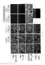 Fig. 13 - HALIDES IN THE TREATMENT OF PATHOGENIC INFECTION