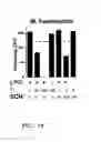 Fig. 19 - HALIDES IN THE TREATMENT OF PATHOGENIC INFECTION