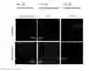 Fig. 02 - Induced hepatocytes and uses thereof