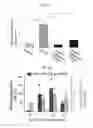 Fig. 07 - Induced hepatocytes and uses thereof