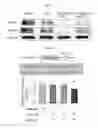 Fig. 10 - Induced hepatocytes and uses thereof