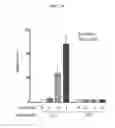 Fig. 11 - Induced hepatocytes and uses thereof