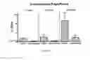 Fig. 04 - COMPOSITIONS AND METHODS FOR PROVIDING HEMATOPOIETIC FUNCTION