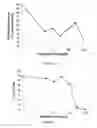 Fig. 02 - Compositions and methods for treatment of cancer using bacteria