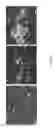 Fig. 04 - Compositions and methods