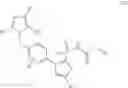 Fig. 05 - METHODS AND COMPOSITIONS FOR THE TREATMENT OF AMYOTROPHIC LATERAL SCLEROSIS