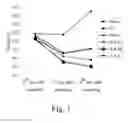 Fig. 02 - Application of recombinant immunoregulatory protein of ganoderma lucidum in preparation of drug for treating focal cerebral ischemia