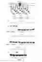 Fig. 03 - Polypeptide targeting to mitochondria