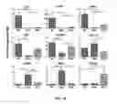 Fig. 03 - SCAFFOLDS CONTAINING CYTOKINES FOR TISSUE ENGINEERING