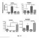Fig. 05 - SCAFFOLDS CONTAINING CYTOKINES FOR TISSUE ENGINEERING