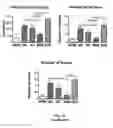 Fig. 11 - SCAFFOLDS CONTAINING CYTOKINES FOR TISSUE ENGINEERING