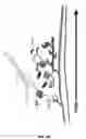 Fig. 12 - SCAFFOLDS CONTAINING CYTOKINES FOR TISSUE ENGINEERING