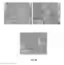 Fig. 14 - SCAFFOLDS CONTAINING CYTOKINES FOR TISSUE ENGINEERING