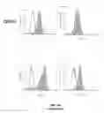 Fig. 22 - SCAFFOLDS CONTAINING CYTOKINES FOR TISSUE ENGINEERING