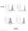 Fig. 24 - SCAFFOLDS CONTAINING CYTOKINES FOR TISSUE ENGINEERING