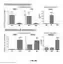 Fig. 29 - SCAFFOLDS CONTAINING CYTOKINES FOR TISSUE ENGINEERING