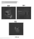 Fig. 30 - SCAFFOLDS CONTAINING CYTOKINES FOR TISSUE ENGINEERING