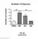 Fig. 31 - SCAFFOLDS CONTAINING CYTOKINES FOR TISSUE ENGINEERING
