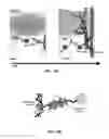Fig. 37 - SCAFFOLDS CONTAINING CYTOKINES FOR TISSUE ENGINEERING