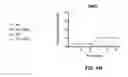 Fig. 41 - SCAFFOLDS CONTAINING CYTOKINES FOR TISSUE ENGINEERING