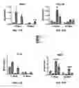 Fig. 44 - SCAFFOLDS CONTAINING CYTOKINES FOR TISSUE ENGINEERING