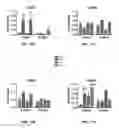 Fig. 45 - SCAFFOLDS CONTAINING CYTOKINES FOR TISSUE ENGINEERING