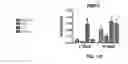 Fig. 46 - SCAFFOLDS CONTAINING CYTOKINES FOR TISSUE ENGINEERING
